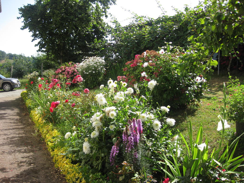 Vakantieboerderij Lizargarate